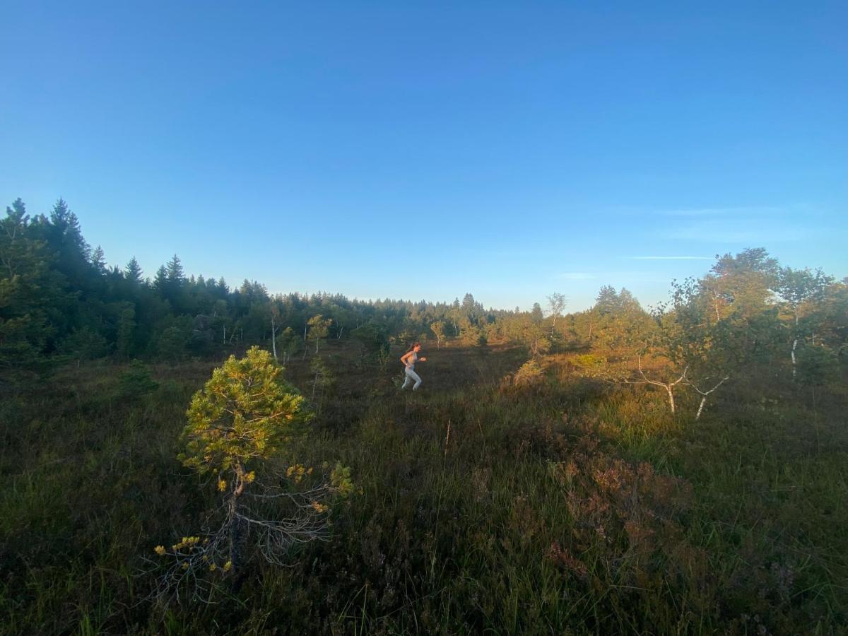 Appartamento Am Lenzensberg 667 - Neu Mit E-Ladestation Traunstein Esterno foto